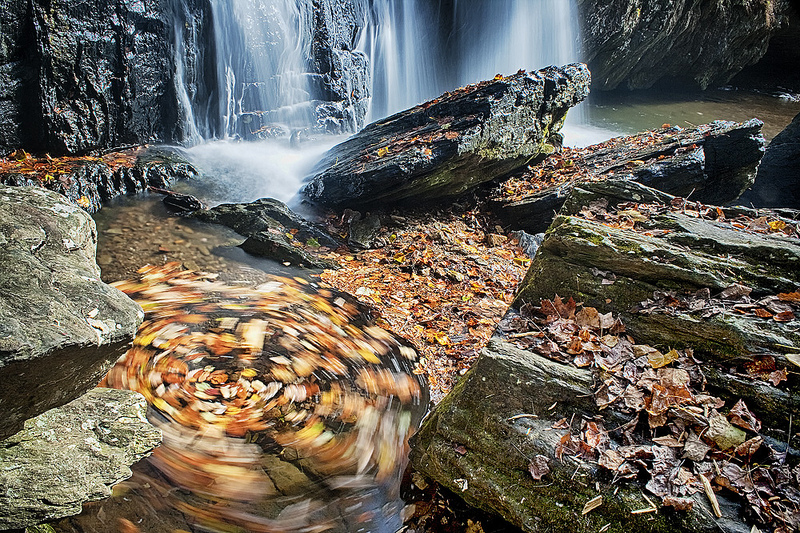 Autumn Swirl