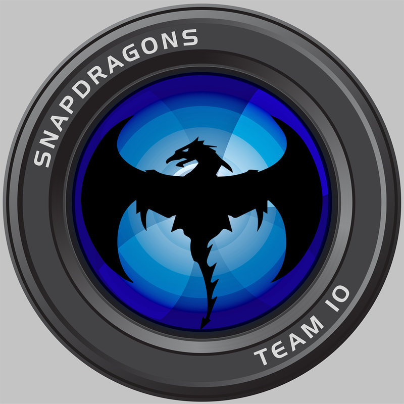 TPL Summer '14  - Team SnapDragon