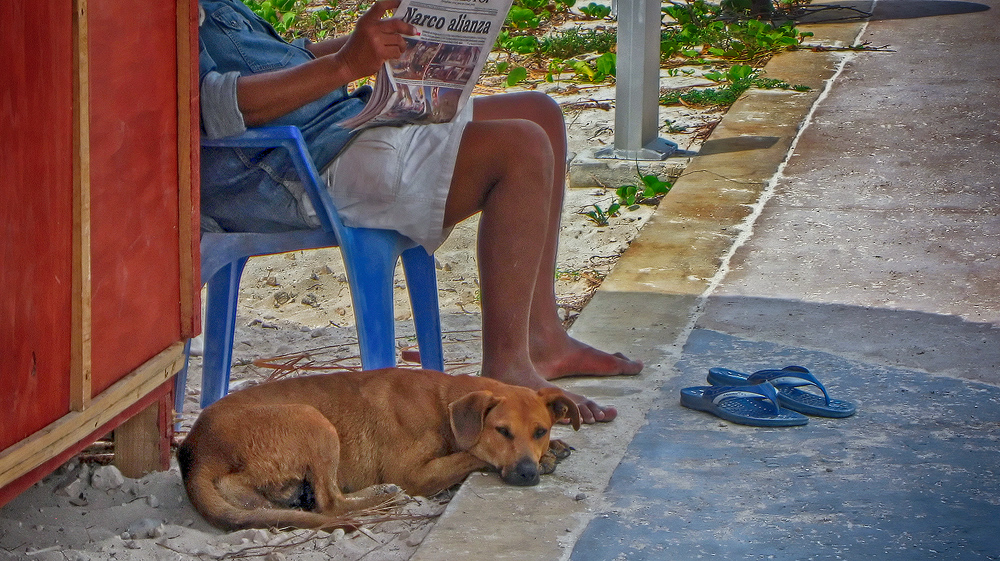 edit1000_IMG_3721