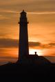 Pigeon Point Lighthouse - Gold