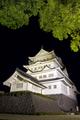 Chiba Castle