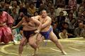 Sumo Shove
