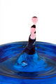 Circus Seal Droplet
