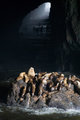 Sea Lions in Tunnel