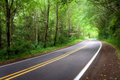 Road in the Forest