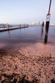 Seattle Boat Launch-Vertical