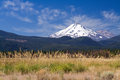 Mount Shasta