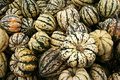 Green and White Pumpkins