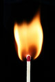 Matchstick Vertical 1