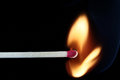 Matchstick Horizontal