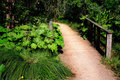 Bridge on Garden Path