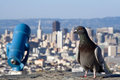 Birdseye View of San Francisco