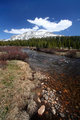 Tioga Pass River