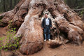 Me and a Sequoia