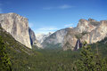 Yosemite Landscape