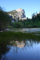 Mirror Lake with Reeds