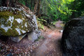 Path to Mirror Lake