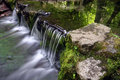 Fern Springs Closeup