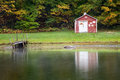 Misty Pond