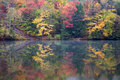 Reflected Autumn Trees
