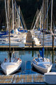 Symmetrical boats