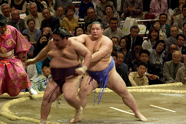 Sumo Shove