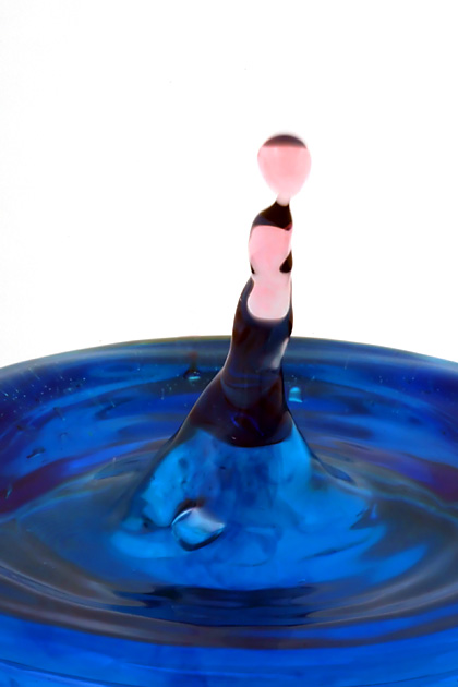 Circus Seal Droplet