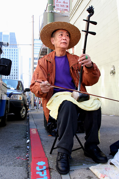 The Musician
