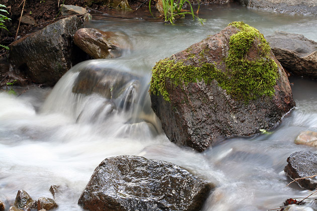 Rushing River