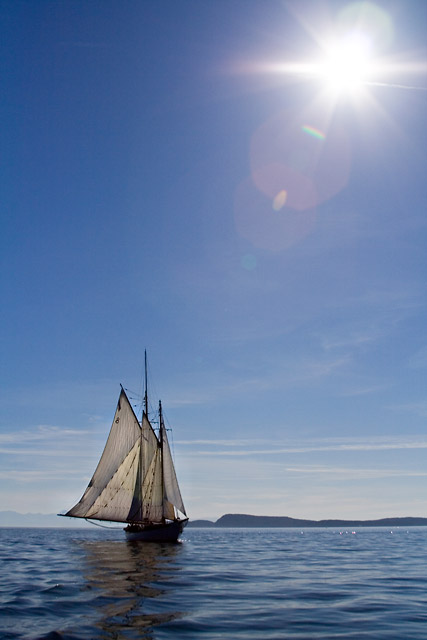 Ship Under the Sun