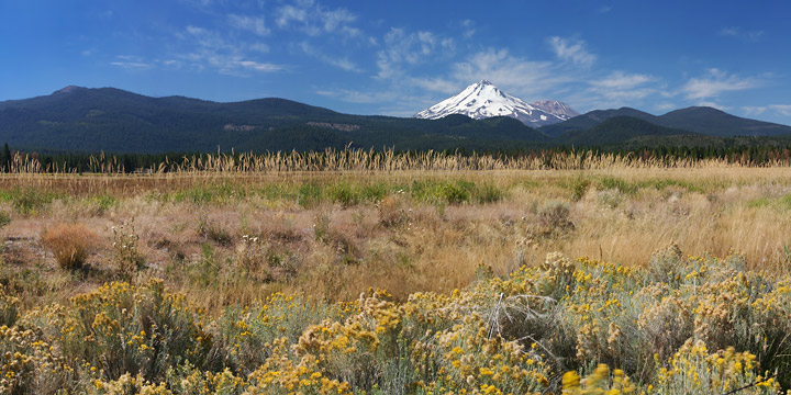 Mount Shasta Panorama
