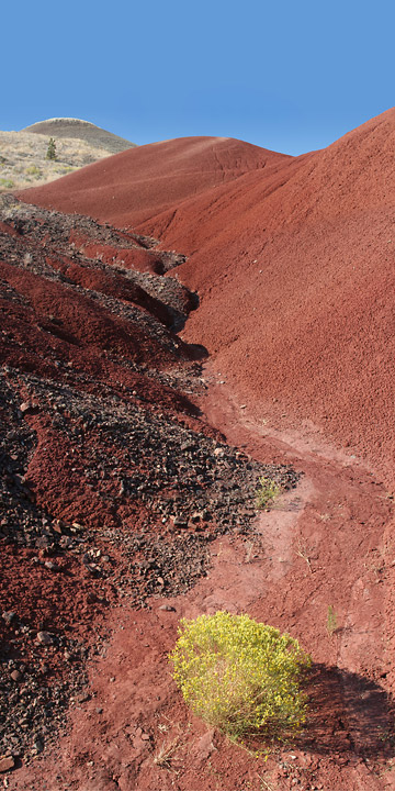 Painted Hills Vertical Panorama