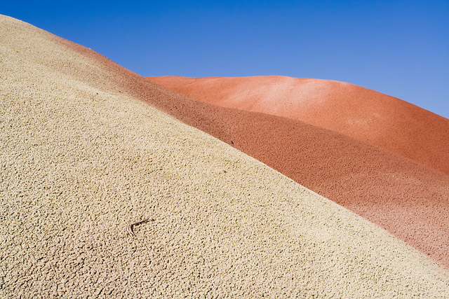 Colorful Sand Dunes