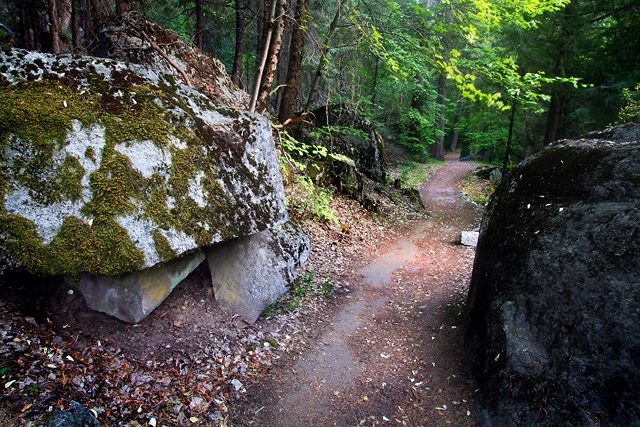 Path to Mirror Lake