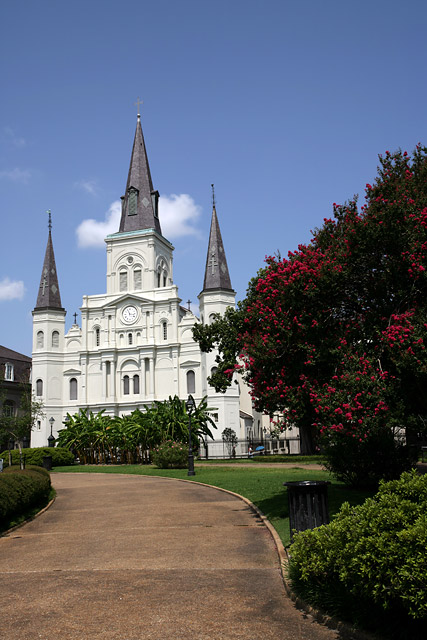 Saint Louis Cathedral with Tree