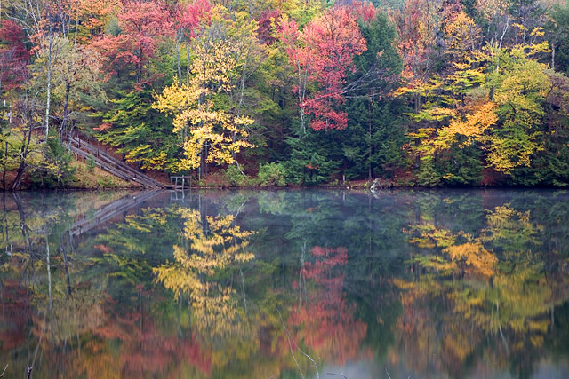 Reflected Autumn Trees