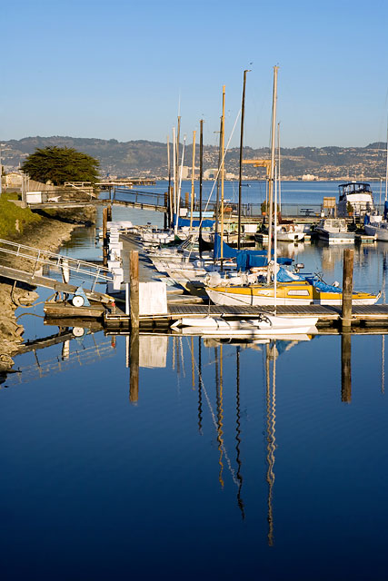 Boats in the marina