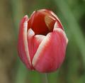 IMG_3618.jpg