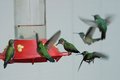 Thatsalottahummers