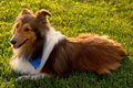 CRW_5579-1.jpg