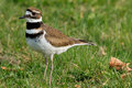 800IMG_7947.jpg