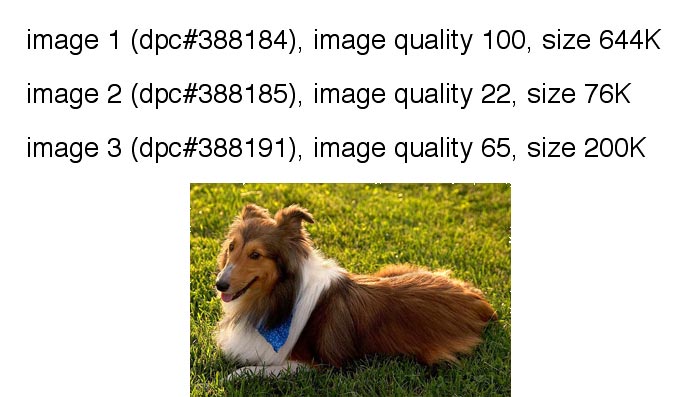 answer.jpg