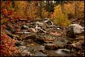 Autumn Stillness