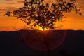 IMG_3446-01.jpg