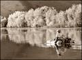 Going Fishing!