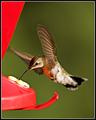 IMG_4574-01a.jpg
