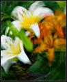 IMG_4735-01a-small.jpg