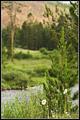 IMG_5355-640.jpg