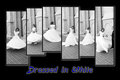 Mike-and-Jessica-Wedding-01.jpg
