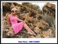 IMG_8535-01.jpg